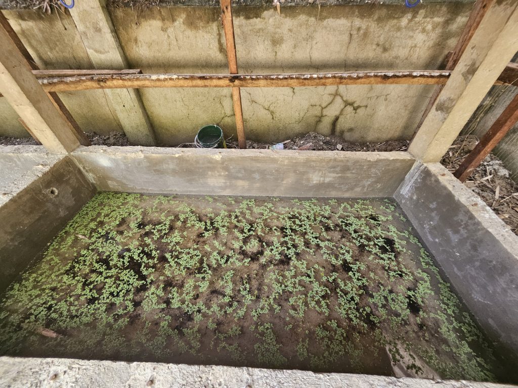 KakaoTalk_20250224_100937773_06